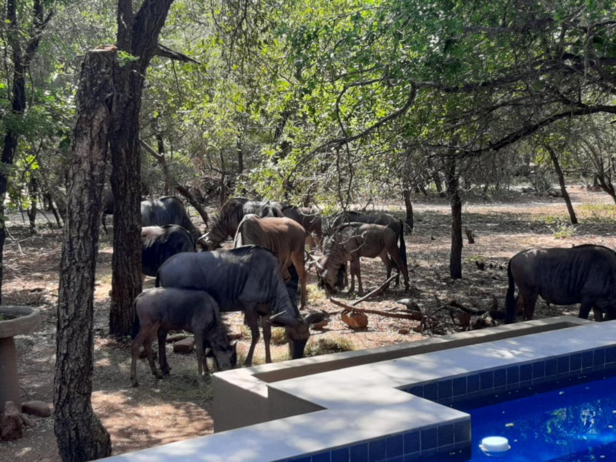 מרלות' פארק African Sky Villas מראה חיצוני תמונה